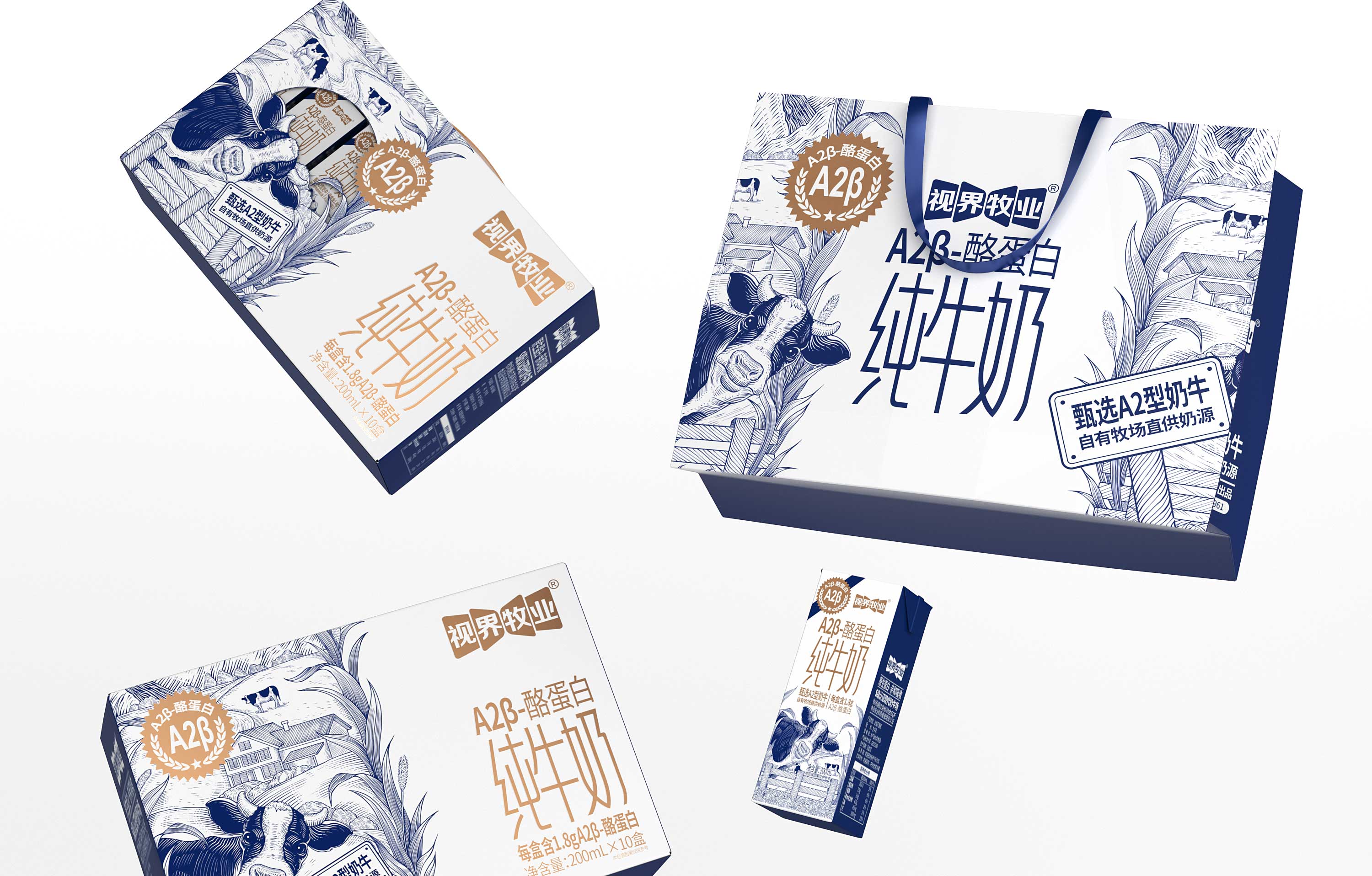 1692860044209832.jpg 17.jpg